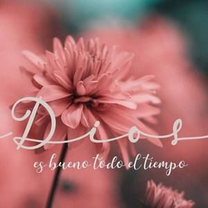 Meet your Posher, Areli